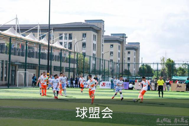 球盟会团队与工作环境